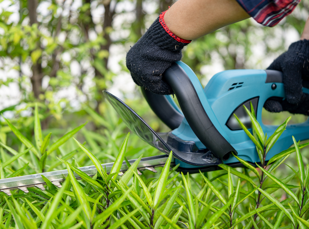 multi services st-genis-des-fontaines